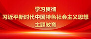 www.大逼色..com学习贯彻习近平新时代中国特色社会主义思想主题教育_fororder_ad-371X160(2)